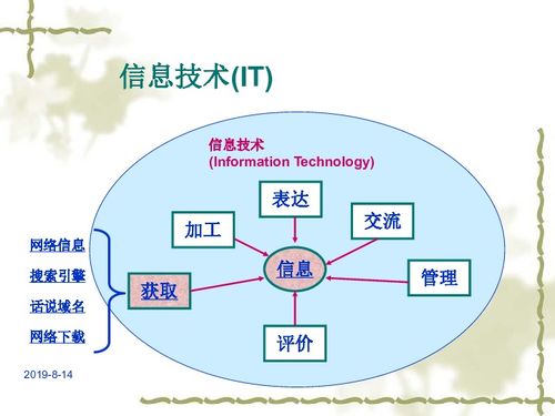 基本能力測試之信息技術篇