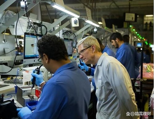 蘋果印度工廠全面撤退 庫(kù)克不得不接受的現(xiàn)實(shí)